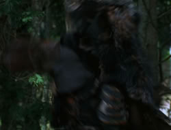 extant_XenaWarriorPrincess_6x06-TheAbyss_03442
