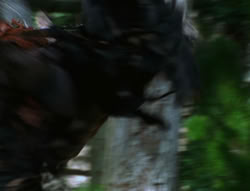 extant_XenaWarriorPrincess_6x06-TheAbyss_03443