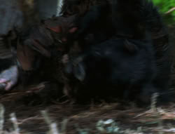 extant_XenaWarriorPrincess_6x06-TheAbyss_03445