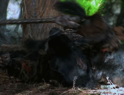 extant_XenaWarriorPrincess_6x06-TheAbyss_03446