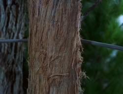 extant_XenaWarriorPrincess_6x06-TheAbyss_03452
