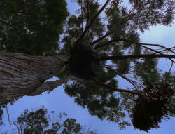 extant_XenaWarriorPrincess_6x06-TheAbyss_03454