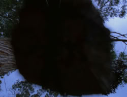 extant_XenaWarriorPrincess_6x06-TheAbyss_03458