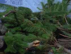 extant_XenaWarriorPrincess_6x06-TheAbyss_03467