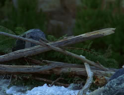 extant_XenaWarriorPrincess_6x06-TheAbyss_03474