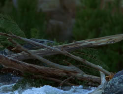 extant_XenaWarriorPrincess_6x06-TheAbyss_03475