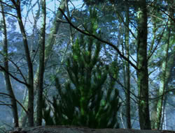 extant_XenaWarriorPrincess_6x06-TheAbyss_03571