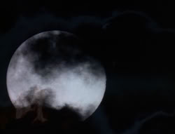extant_XenaWarriorPrincess_6x07-TheRheingold_0003