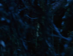 extant_XenaWarriorPrincess_6x07-TheRheingold_0020