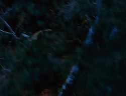 extant_XenaWarriorPrincess_6x07-TheRheingold_0022