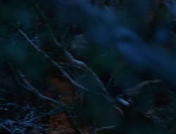 extant_XenaWarriorPrincess_6x07-TheRheingold_0023