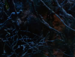 extant_XenaWarriorPrincess_6x07-TheRheingold_0024