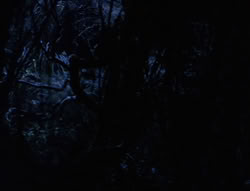 extant_XenaWarriorPrincess_6x07-TheRheingold_0025