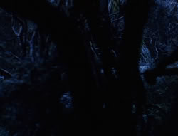 extant_XenaWarriorPrincess_6x07-TheRheingold_0030