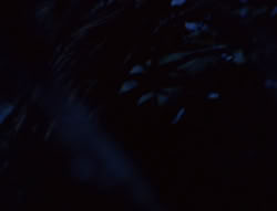 extant_XenaWarriorPrincess_6x07-TheRheingold_0037