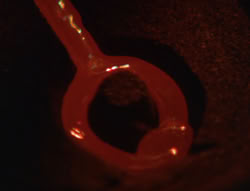 extant_XenaWarriorPrincess_6x07-TheRheingold_0069