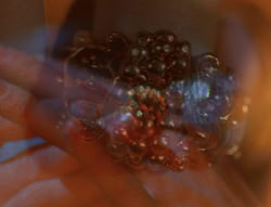 extant_XenaWarriorPrincess_6x07-TheRheingold_0093