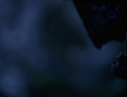 extant_XenaWarriorPrincess_6x07-TheRheingold_0111