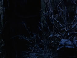 extant_XenaWarriorPrincess_6x07-TheRheingold_0116