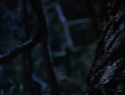 extant_XenaWarriorPrincess_6x07-TheRheingold_0120