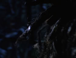 extant_XenaWarriorPrincess_6x07-TheRheingold_0121