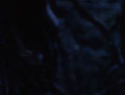 extant_XenaWarriorPrincess_6x07-TheRheingold_0124