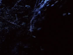 extant_XenaWarriorPrincess_6x07-TheRheingold_0167