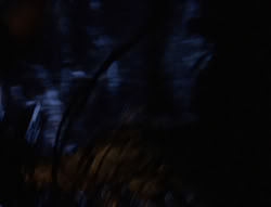 extant_XenaWarriorPrincess_6x07-TheRheingold_0177