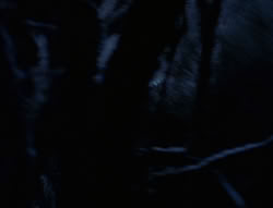 extant_XenaWarriorPrincess_6x07-TheRheingold_0182