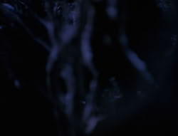 extant_XenaWarriorPrincess_6x07-TheRheingold_0190
