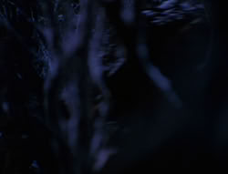 extant_XenaWarriorPrincess_6x07-TheRheingold_0191