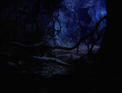 extant_XenaWarriorPrincess_6x07-TheRheingold_0192