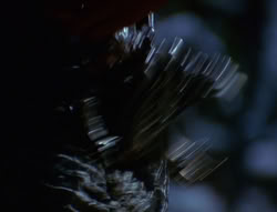 extant_XenaWarriorPrincess_6x07-TheRheingold_0229