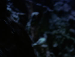 extant_XenaWarriorPrincess_6x07-TheRheingold_0238