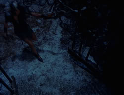 extant_XenaWarriorPrincess_6x07-TheRheingold_0258