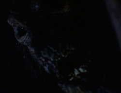 extant_XenaWarriorPrincess_6x07-TheRheingold_0270