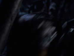 extant_XenaWarriorPrincess_6x07-TheRheingold_0299