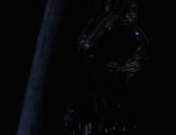 extant_XenaWarriorPrincess_6x07-TheRheingold_0337