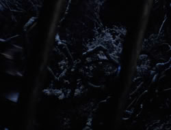 extant_XenaWarriorPrincess_6x07-TheRheingold_0340