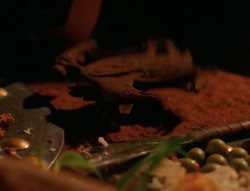 extant_XenaWarriorPrincess_6x07-TheRheingold_0474