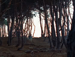 extant_XenaWarriorPrincess_6x07-TheRheingold_0690