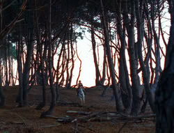 extant_XenaWarriorPrincess_6x07-TheRheingold_0691
