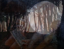 extant_XenaWarriorPrincess_6x07-TheRheingold_0698