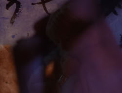 extant_XenaWarriorPrincess_6x07-TheRheingold_0737