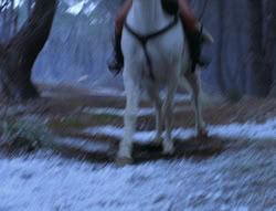 extant_XenaWarriorPrincess_6x07-TheRheingold_0767