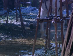 extant_XenaWarriorPrincess_6x07-TheRheingold_0770