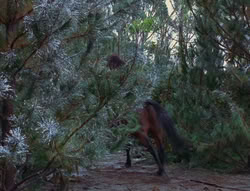 extant_XenaWarriorPrincess_6x07-TheRheingold_0951