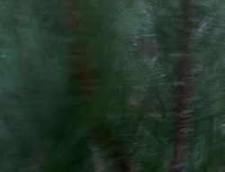 extant_XenaWarriorPrincess_6x07-TheRheingold_0953