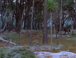 extant_XenaWarriorPrincess_6x07-TheRheingold_0955