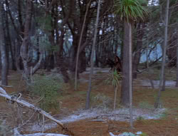 extant_XenaWarriorPrincess_6x07-TheRheingold_0956